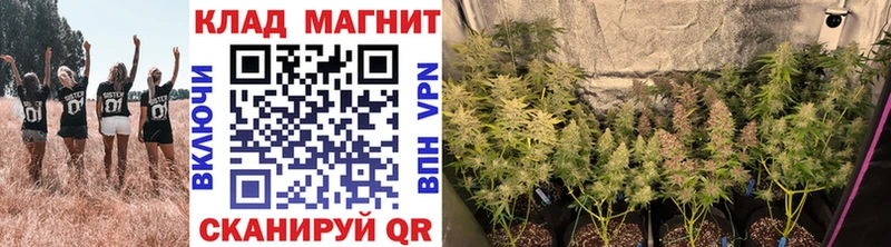 Где купить наркоту Хабаровск ГАШИШ mega онион АМФ Мефедрон МАРИХУАНА