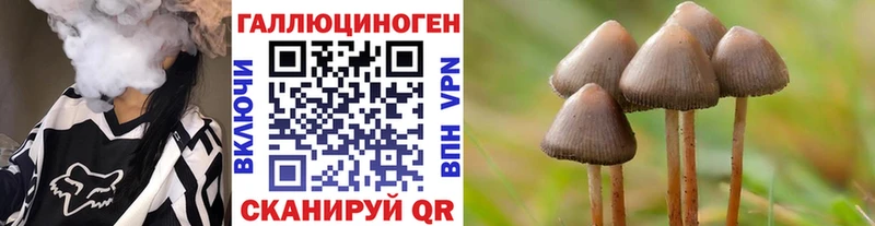 наркошоп  Хабаровск  Псилоцибиновые грибы ЛСД 